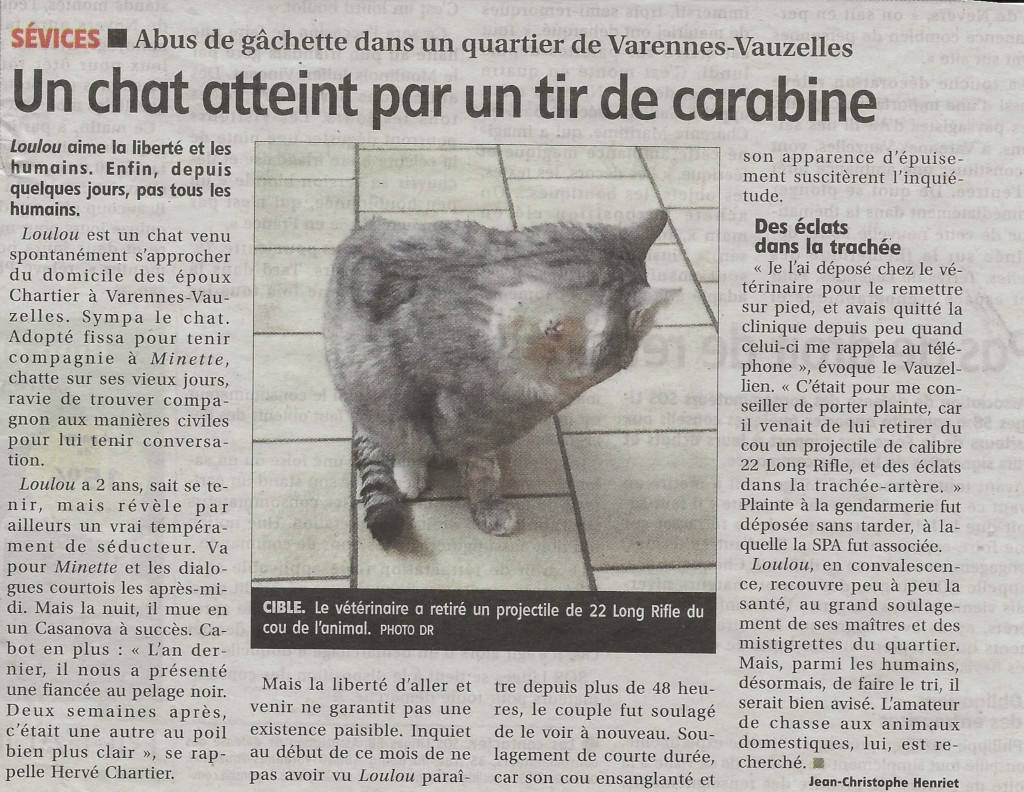 Article de journal sur un chat atteint dans le cou par un tir de carabine à Varennes-Vauzelles